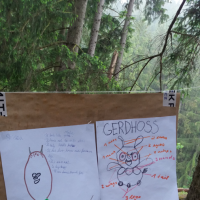 20180515_113645.jpg