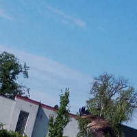 IMG_20180607_092038.jpg
