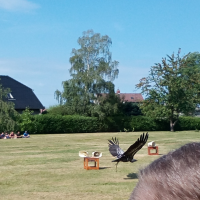 IMG_20180607_093236.jpg