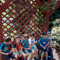 IMG_20180531_103642.jpg