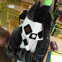 IMG_20180502_094119.jpg