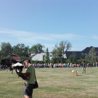 20180607_090917.jpg