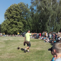 20180607_091603.jpg