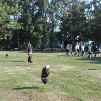 20180607_083853.jpg