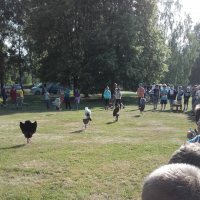 20180607_083916.jpg