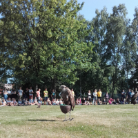 20180607_084335.jpg