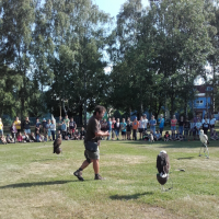 20180607_084506.jpg