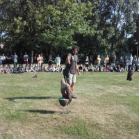 20180607_084616.jpg