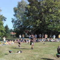 20180607_084640.jpg