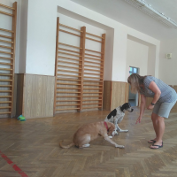 IMG_20180621_102254.jpg