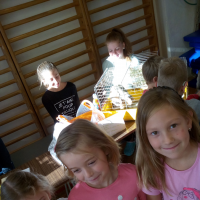 IMG_20181003_090202.jpg