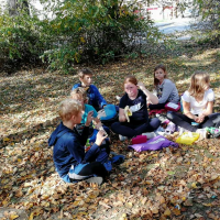 IMG_20181015_114720.jpg