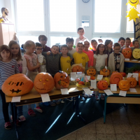 IMG_20181025_100423.jpg