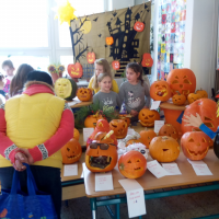 IMG_20181025_100435.jpg