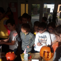 IMG_20181025_100500.jpg