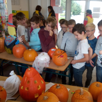 IMG_20181025_100510.jpg