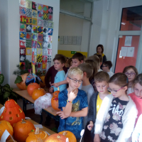 IMG_20181025_100623.jpg