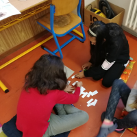 IMG_20181204_082008.jpg