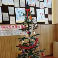 IMG_20181206_091712.jpg