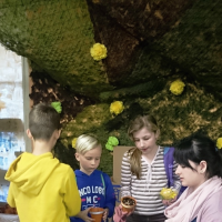 15453917920150320-dsc0228