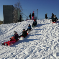 IMG_20190205_091430_1.jpg