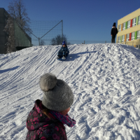 IMG_20190205_091502.jpg