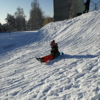 IMG_20190205_091439.jpg