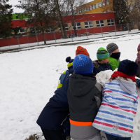 20190206_115854.jpg