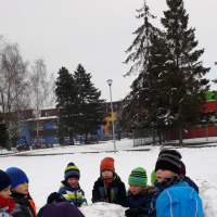 20190206_115839.jpg
