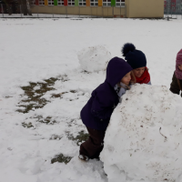 20190206_114606.jpg