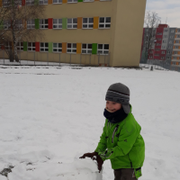 20190206_113948.jpg