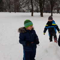 20190206_114421.jpg