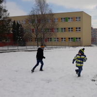 20190206_113909.jpg