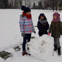 20190206_114012.jpg