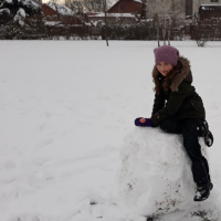 20190206_114537.jpg