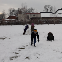 20190206_114651.jpg