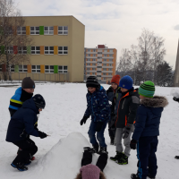 20190206_114844.jpg