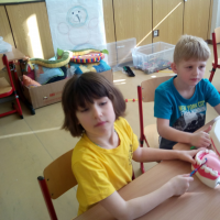 IMG_20190228_102125.jpg