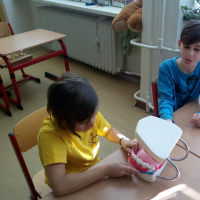 IMG_20190228_102204.jpg