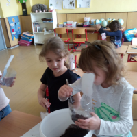 IMG_20190409_120226.jpg