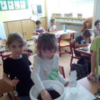 IMG_20190409_120207.jpg