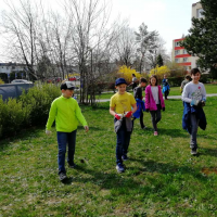 IMG_20190405_114703.jpg
