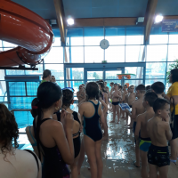 20190328_110200.jpg