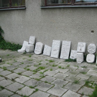 155847319img7403