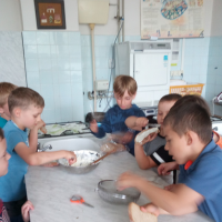 IMG_20190530_093208.jpg