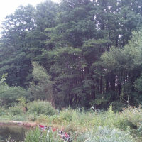 IMG_20190620_102743.jpg