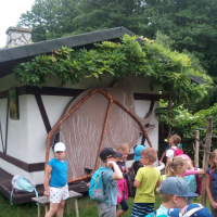 IMG_20190620_103254.jpg
