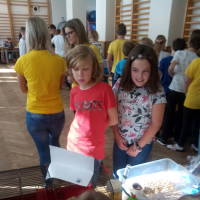 IMG_20191017_110216.jpg