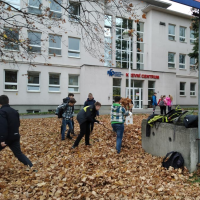 IMG_20191104_124100.jpg