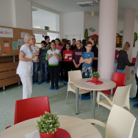 IMG_20191104_132300.jpg